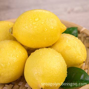 Wholesale In Stock Fresh Lemons